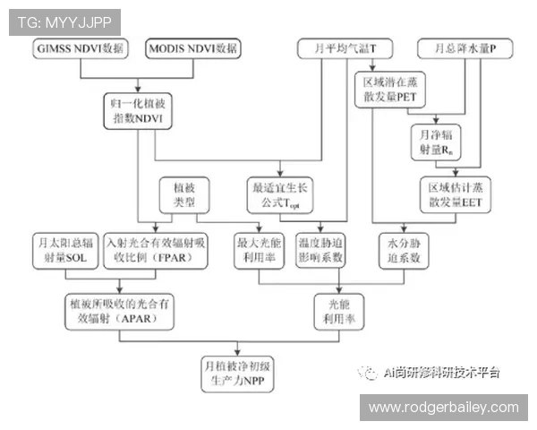 在AG官方旗舰店购买游戏周边的详细流程与安全保障措施解析